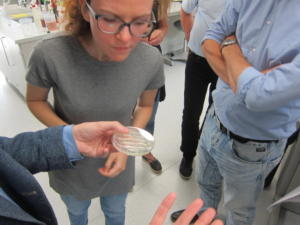IMG 4857