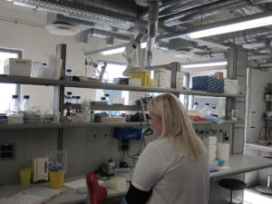 IMG 4868