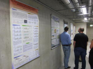 IMG 4890