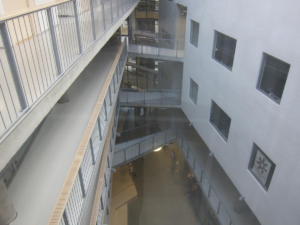 IMG 4901