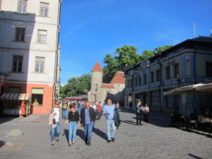 IMG 4935