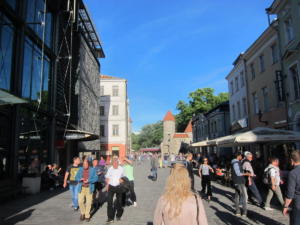 IMG 4936