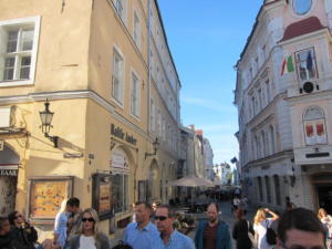 IMG 4953